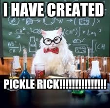 Teacher Cat |  I HAVE CREATED; PICKLE RICK!!!!!!!!!!!!!!! | image tagged in teacher cat | made w/ Imgflip meme maker