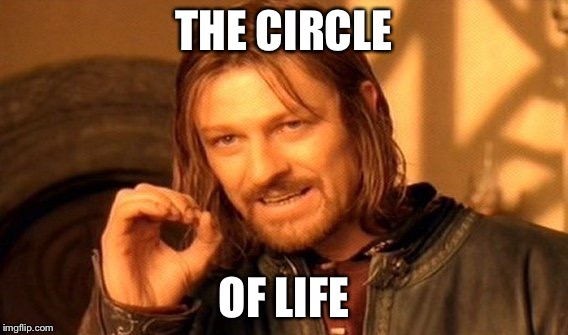 One Does Not Simply Meme | THE CIRCLE; OF LIFE | image tagged in memes,one does not simply | made w/ Imgflip meme maker