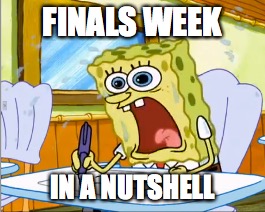 In a Nutshell | FINALS WEEK; IN A NUTSHELL | image tagged in spongebob,humor,finals,school,in a nutshell | made w/ Imgflip meme maker