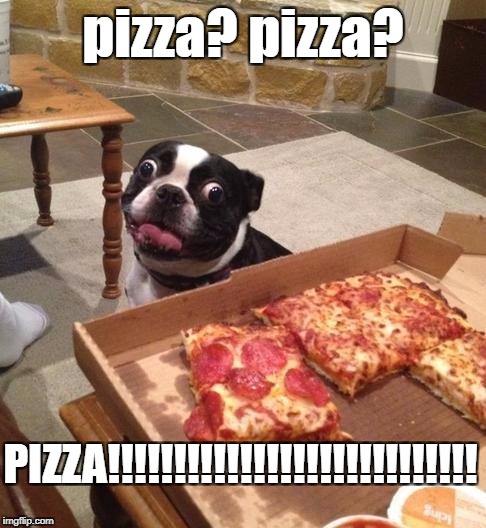 Hungry Pizza Dog | pizza? pizza? PIZZA!!!!!!!!!!!!!!!!!!!!!!!!!!!! | image tagged in hungry pizza dog | made w/ Imgflip meme maker