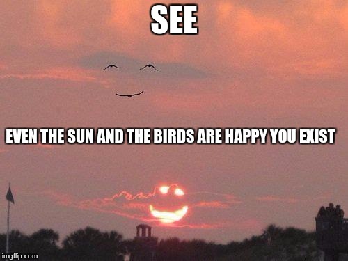 Smiling Sun | SEE; EVEN THE SUN AND THE BIRDS ARE HAPPY YOU EXIST | image tagged in imgflip | made w/ Imgflip meme maker