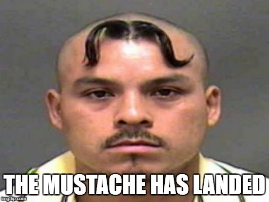 THE MUSTACHE HAS LANDED | made w/ Imgflip meme maker