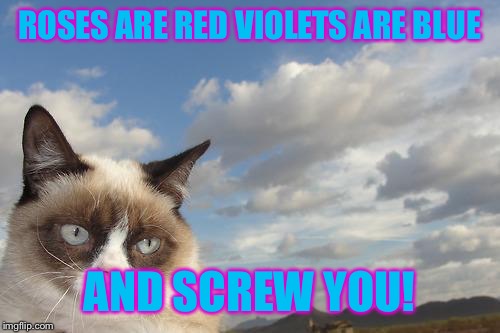 Grumpy Cat Sky | ROSES ARE RED VIOLETS ARE BLUE; AND SCREW YOU! | image tagged in memes,grumpy cat sky,grumpy cat | made w/ Imgflip meme maker