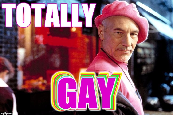 TOTALLY GAY GAY GAY GAY GAY GAY | made w/ Imgflip meme maker