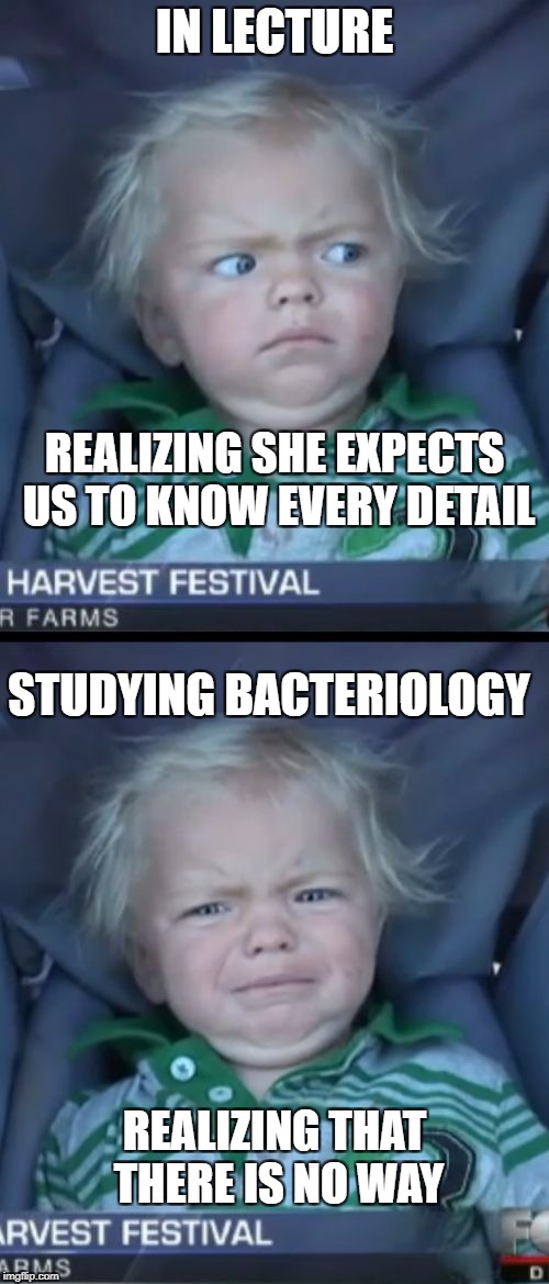 Baby Cry | IN LECTURE; REALIZING SHE EXPECTS US TO KNOW EVERY DETAIL; STUDYING BACTERIOLOGY; REALIZING THAT THERE IS NO WAY | image tagged in memes,baby cry | made w/ Imgflip meme maker