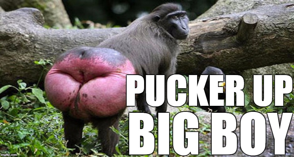 PUCKER UP BIG BOY | made w/ Imgflip meme maker