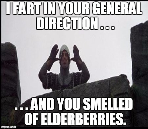 I FART IN YOUR GENERAL DIRECTION . . . . . . AND YOU SMELLED OF ELDERBERRIES. | made w/ Imgflip meme maker