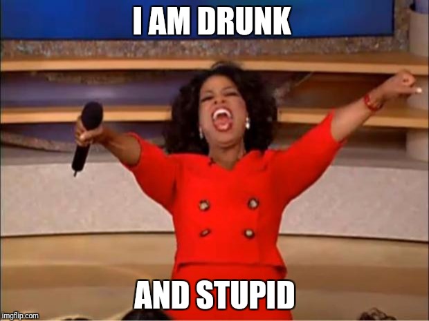 Oprah You Get A | I AM DRUNK; AND STUPID | image tagged in memes,oprah you get a | made w/ Imgflip meme maker