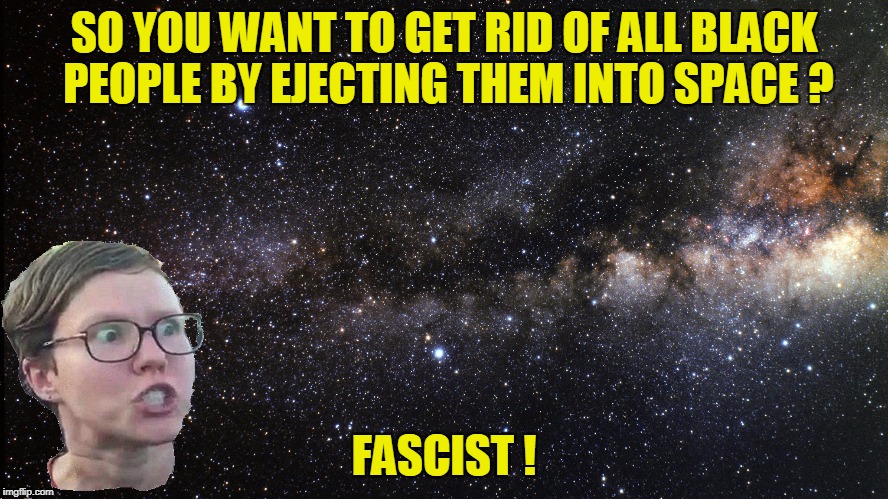 SO YOU WANT TO GET RID OF ALL BLACK PEOPLE BY EJECTING THEM INTO SPACE ? FASCIST ! | made w/ Imgflip meme maker