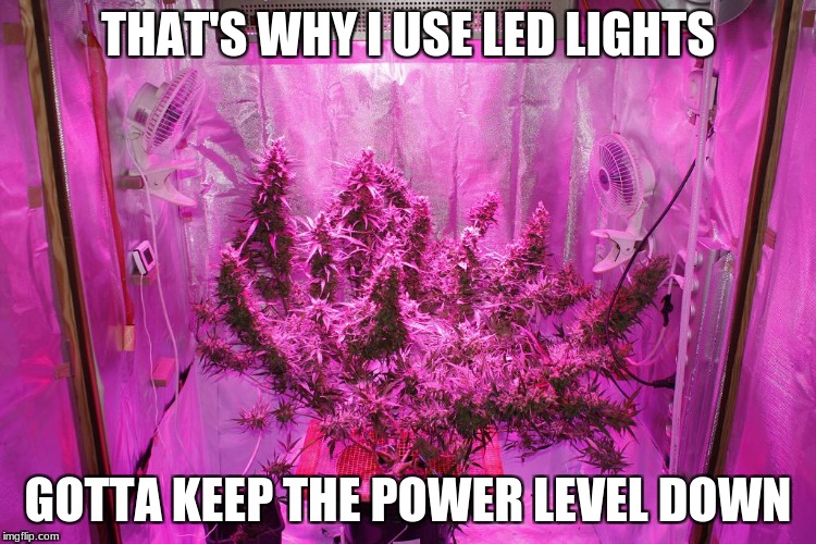 THAT'S WHY I USE LED LIGHTS GOTTA KEEP THE POWER LEVEL DOWN | made w/ Imgflip meme maker