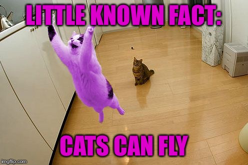 RayCat save the world | LITTLE KNOWN FACT: CATS CAN FLY | image tagged in raycat save the world | made w/ Imgflip meme maker