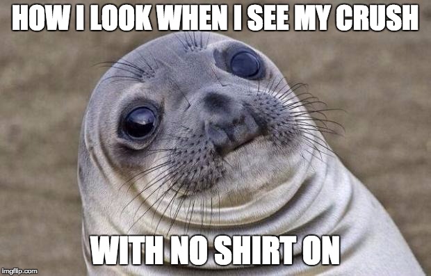 Awkward Moment Sealion | HOW I LOOK WHEN I SEE MY CRUSH; WITH NO SHIRT ON | image tagged in memes,awkward moment sealion | made w/ Imgflip meme maker