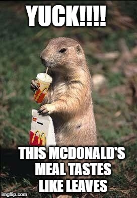 THIS MCDONALD'S MEAL TASTES LIKE LEAVES YUCK!!!! | made w/ Imgflip meme maker