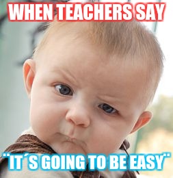 Skeptical Baby Meme | WHEN TEACHERS SAY; ¨IT´S GOING TO BE EASY¨ | image tagged in memes,skeptical baby | made w/ Imgflip meme maker