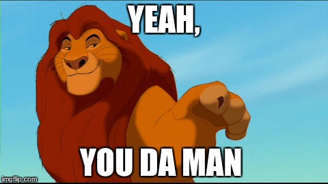 the lion king is cooler now | YEAH, YOU DA MAN | image tagged in lion,king,awesome,cool | made w/ Imgflip meme maker