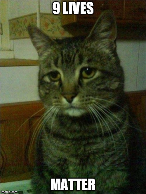 Depressed Cat Meme | 9 LIVES; MATTER | image tagged in memes,depressed cat | made w/ Imgflip meme maker