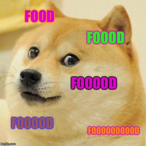 Doge Meme | FOOD; FOOOD; FOOOOD; FOOOOD; FOOOOOOOOOD | image tagged in memes,doge | made w/ Imgflip meme maker