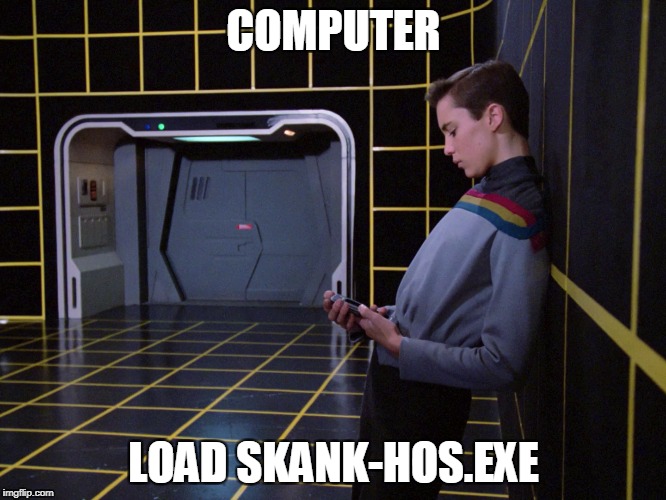 COMPUTER; LOAD SKANK-HOS.EXE | image tagged in wesholodeck | made w/ Imgflip meme maker