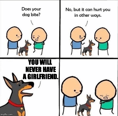 The dog just ruined your whole life. | YOU WILL NEVER HAVE A GIRLFRIEND. | image tagged in does your dog bite,forever alone,lol | made w/ Imgflip meme maker
