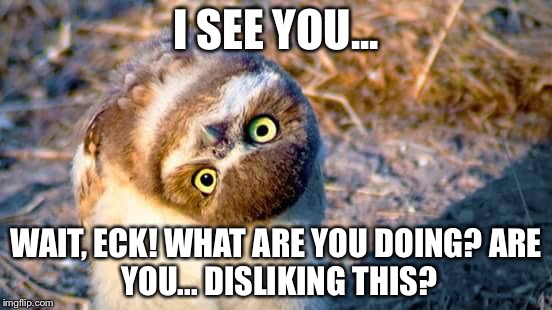 Mem | I SEE YOU... WAIT, ECK! WHAT ARE YOU DOING?
ARE YOU... DISLIKING THIS? | image tagged in mem | made w/ Imgflip meme maker