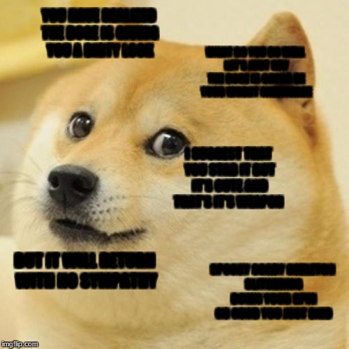 Doge Meme | YOU HAVE REALIZED THE DOGE IS GIVING YOU A DIRTY LOOK; WHAT DO YOU DO WELL LET'S JUST SAY THE DOGE
IS GONNA BE YOUR WORST NIGHTMARE; I SUGGEST THAT YOU STAB IT BUT IT'S CUTE AND THAT'S IT'S WEAPON; BUT IT WILL RETURN WITH NO SYMPATHY; SPOOKY SCARY SKELETON SLITHERING DOWN YOUR SPIN OH CRUD YOU JUST DIED | image tagged in memes,doge | made w/ Imgflip meme maker