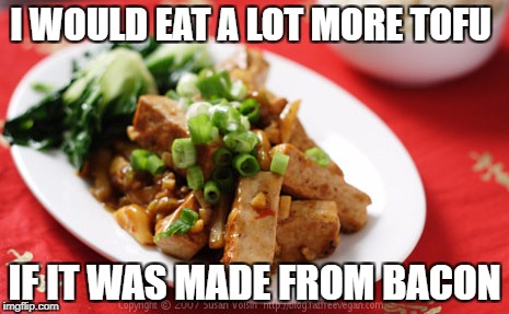 tofu before bacon | I WOULD EAT A LOT MORE TOFU; IF IT WAS MADE FROM BACON | image tagged in tofu,bacon,funny,memes,funny memes | made w/ Imgflip meme maker