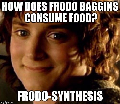 Why did I make this? | HOW DOES FRODO BAGGINS CONSUME FOOD? FRODO-SYNTHESIS | image tagged in frodo,lord of the rings,lotr,plants | made w/ Imgflip meme maker