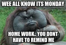 Funny animals | WEE ALL KNOW ITS MONDAY; HOME WORK.. YOU DONT HAVE TO REMIND ME | image tagged in funny animals | made w/ Imgflip meme maker