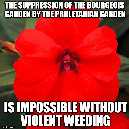 Communist Garden | THE SUPPRESSION OF THE BOURGEOIS GARDEN BY THE PROLETARIAN GARDEN; IS IMPOSSIBLE WITHOUT VIOLENT WEEDING | image tagged in communism,botany,gardening | made w/ Imgflip meme maker