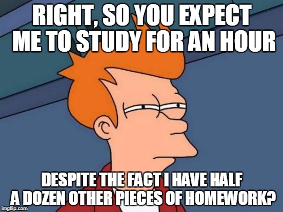 Seriously Though... | RIGHT, SO YOU EXPECT ME TO STUDY FOR AN HOUR; DESPITE THE FACT I HAVE HALF A DOZEN OTHER PIECES OF HOMEWORK? | image tagged in memes,futurama fry,funny,school,teacher,stupid people | made w/ Imgflip meme maker