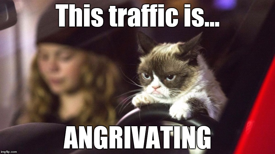 Nobody likes bad traffic... | This traffic is... ANGRIVATING | image tagged in memes,grumpy cat | made w/ Imgflip meme maker