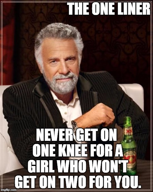 The Most Interesting Man In The World Meme | THE ONE LINER; NEVER GET ON ONE KNEE FOR A GIRL WHO WON'T GET ON TWO FOR YOU. | image tagged in memes,the most interesting man in the world | made w/ Imgflip meme maker