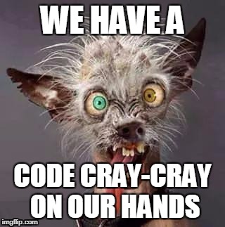 crazy chiwawa | WE HAVE A; CODE CRAY-CRAY ON OUR HANDS | image tagged in crazy chiwawa | made w/ Imgflip meme maker
