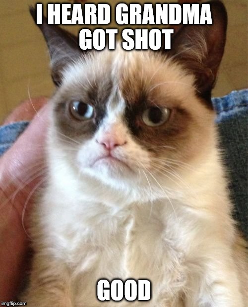 Grumpy Cat Meme | I HEARD GRANDMA GOT SHOT; GOOD | image tagged in memes,grumpy cat | made w/ Imgflip meme maker