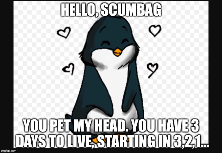 SEWEW is angered... | HELLO, SCUMBAG; YOU PET MY HEAD. YOU HAVE 3 DAYS TO LIVE, STARTING IN 3,2,1... | image tagged in sewew | made w/ Imgflip meme maker