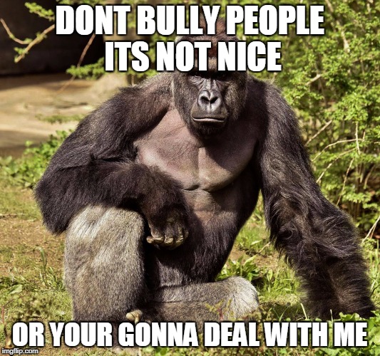 DONT BULLY PEOPLE ITS NOT NICE; OR YOUR GONNA DEAL WITH ME | image tagged in harambe | made w/ Imgflip meme maker