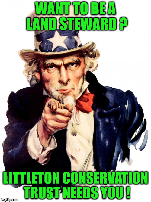 Uncle Sam Meme | WANT TO BE A LAND STEWARD ? LITTLETON CONSERVATION TRUST
NEEDS YOU ! | image tagged in memes,uncle sam | made w/ Imgflip meme maker