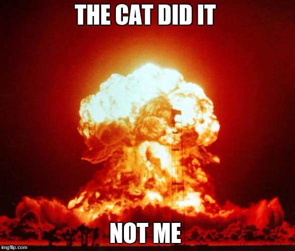 Shots Fired | THE CAT DID IT; NOT ME | image tagged in shots fired | made w/ Imgflip meme maker