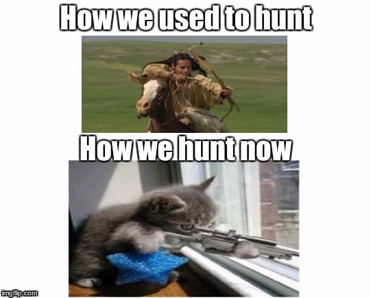 How to hunt: modern or ancient? | How we used to hunt; How we hunt now | image tagged in cats with guns | made w/ Imgflip meme maker