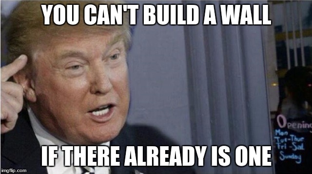 Roll safe Trump edition | YOU CAN'T BUILD A WALL; IF THERE ALREADY IS ONE | image tagged in roll safe trump edition | made w/ Imgflip meme maker