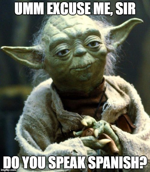 Star Wars Yoda | UMM EXCUSE ME, SIR; DO YOU SPEAK SPANISH? | image tagged in memes,star wars yoda | made w/ Imgflip meme maker