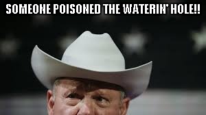 Poisoned water hole | SOMEONE POISONED THE WATERIN' HOLE!! | image tagged in roy moore,toy story | made w/ Imgflip meme maker