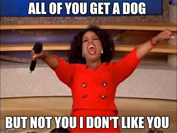 Oprah You Get A Meme | ALL OF YOU GET A DOG; BUT NOT YOU I DON'T LIKE YOU | image tagged in memes,oprah you get a | made w/ Imgflip meme maker
