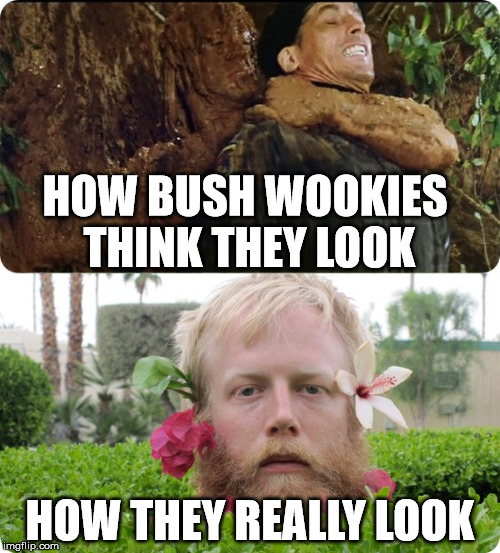 HOW BUSH WOOKIES THINK THEY LOOK; HOW THEY REALLY LOOK | image tagged in steath gamers | made w/ Imgflip meme maker