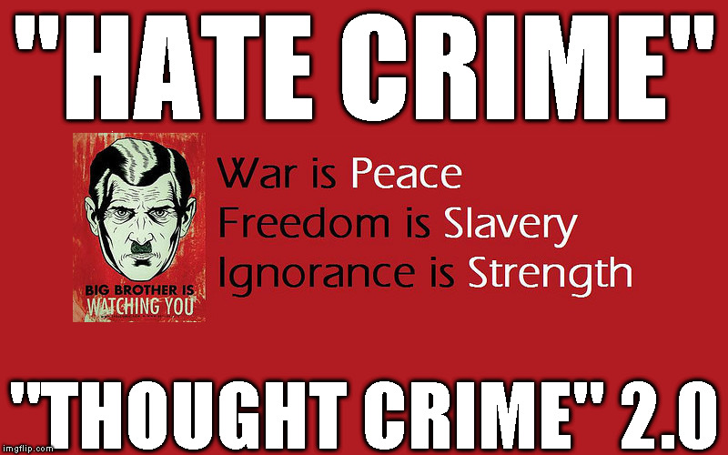"hate crime" 1984 | "HATE CRIME"; "THOUGHT CRIME" 2.0 | image tagged in big brother,hate crime,thought crime,commie judges,liberal fascism | made w/ Imgflip meme maker