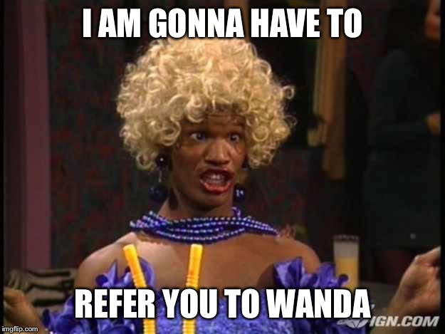 Wanda | I AM GONNA HAVE TO; REFER YOU TO WANDA | image tagged in wanda | made w/ Imgflip meme maker