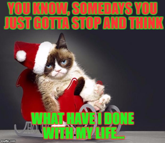 Grumpy Cat Christmas HD | YOU KNOW, SOMEDAYS YOU JUST GOTTA STOP AND THINK; WHAT HAVE I DONE WITH MY LIFE... | image tagged in grumpy cat christmas hd | made w/ Imgflip meme maker