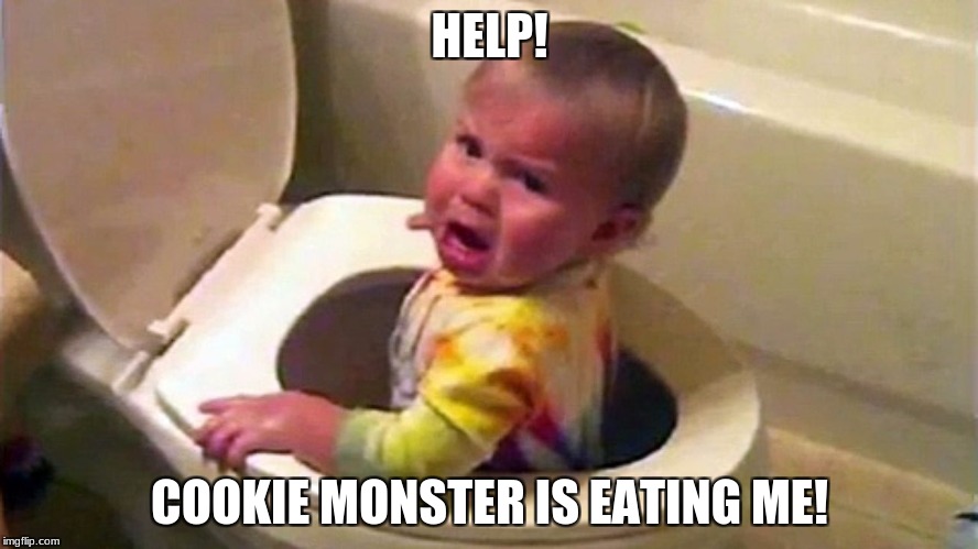 HELP! COOKIE MONSTER IS EATING ME! | image tagged in funny,toilet,baby,cookie monster | made w/ Imgflip meme maker
