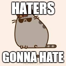 awesome pusheen | HATERS; GONNA HATE | image tagged in awesome pusheen,scumbag | made w/ Imgflip meme maker