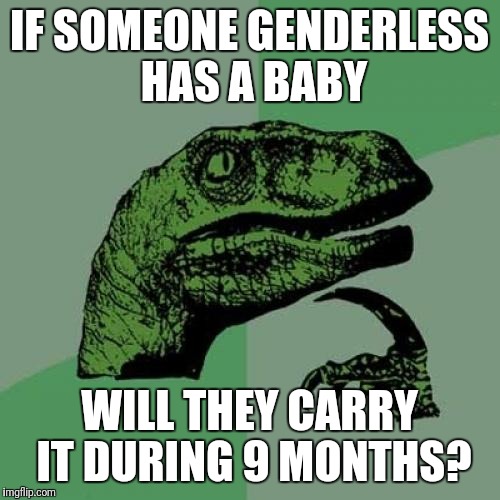 Genderless | IF SOMEONE GENDERLESS HAS A BABY; WILL THEY CARRY IT DURING 9 MONTHS? | image tagged in memes,philosoraptor | made w/ Imgflip meme maker